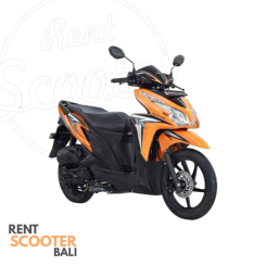 Vario 125 fi