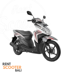 vario techno 110